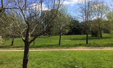 Casa en venta - 4 dormitorios 2 baños - Cochera - 12.000 mts2 - Villa Elisa