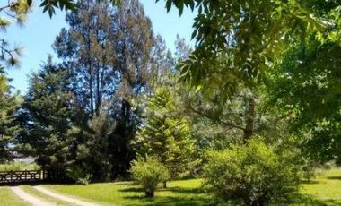 Casa en venta - 4 dormitorios 2 baños - Cochera - 12.000 mts2 - Villa Elisa