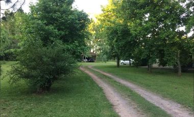 Casa en venta - 4 dormitorios 2 baños - Cochera - 12.000 mts2 - Villa Elisa