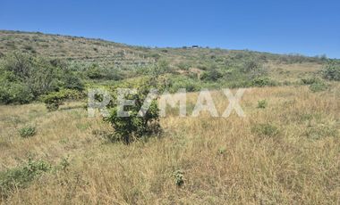 Terreno para Inversión  - (3)