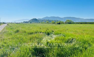 Placilla, Terrenos en Loteo Residencial sector en La Tuna