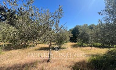 Casa en gran terreno en Santo Domingo