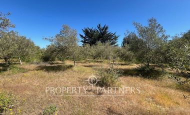 Casa en gran terreno en Santo Domingo