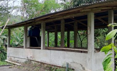 SE VENDE FINCA EN SITIO EL LIMON-RICAURTE-CHONE