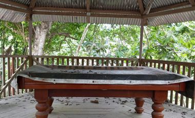 SE VENDE FINCA EN SITIO EL LIMON-RICAURTE-CHONE