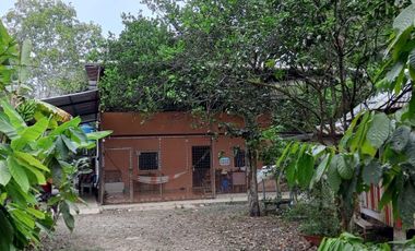 SE VENDE FINCA EN SITIO EL LIMON-RICAURTE-CHONE