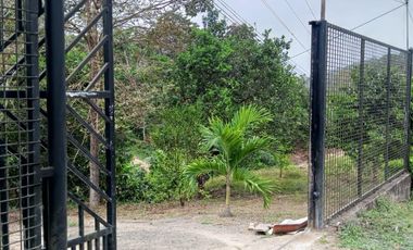 SE VENDE FINCA EN SITIO EL LIMON-RICAURTE-CHONE