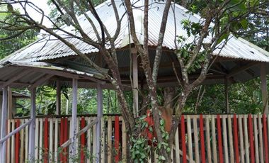 SE VENDE FINCA EN SITIO EL LIMON-RICAURTE-CHONE