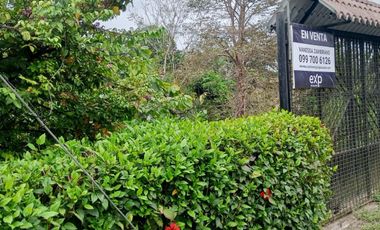 SE VENDE FINCA EN SITIO EL LIMON-RICAURTE-CHONE