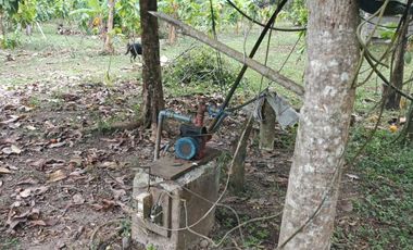 SE VENDE FINCA EN SITIO EL LIMON-RICAURTE-CHONE