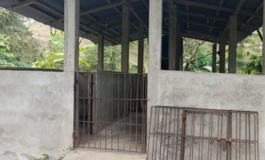 SE VENDE FINCA EN SITIO EL LIMON-RICAURTE-CHONE