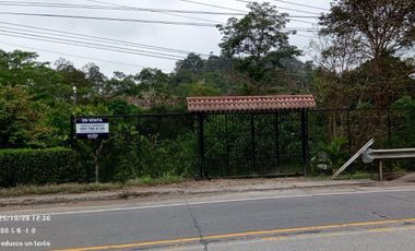 SE VENDE FINCA EN SITIO EL LIMON-RICAURTE-CHONE