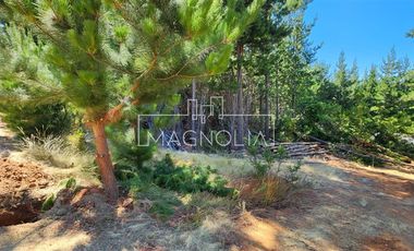 Sitio en Venta en Pailimo