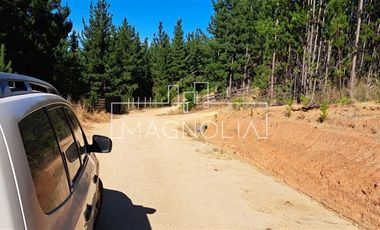 Sitio en Venta en Pailimo