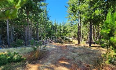 Sitio en Venta en Pailimo