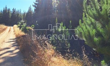 Sitio en Venta en Pailimo