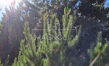 Sitio en Venta en Pailimo