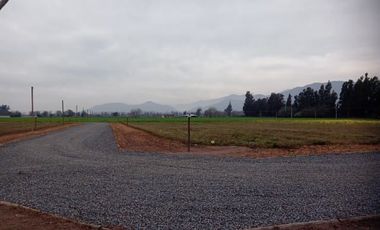 Parcela en Venta en Sector Las Higueras