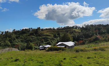 Se vende parcela con dos casas en Caipulli