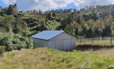 Se vende parcela con dos casas en Caipulli