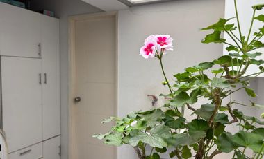 Exclusivo Departamento En Venta – Urb. La Alborada, Surco