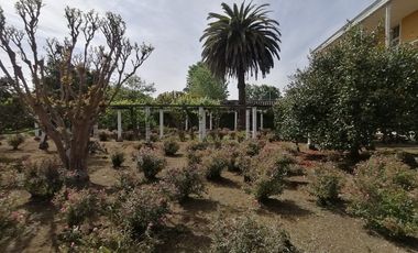 VENTA CASONA COLONIAL AGRICOLA, ROSARIO