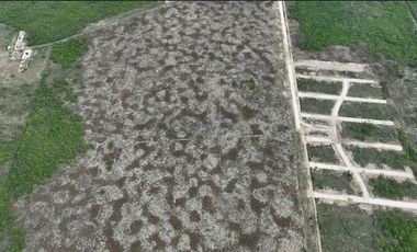 TERRENO EN VENTA EN YAXKUKUL, CONKAL, YUCATAN