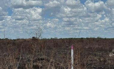 TERRENO EN VENTA EN YAXKUKUL, CONKAL, YUCATAN