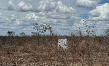TERRENO EN VENTA EN YAXKUKUL, CONKAL, YUCATAN