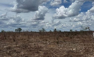 TERRENO EN VENTA EN YAXKUKUL, CONKAL, YUCATAN