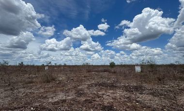 TERRENO EN VENTA EN YAXKUKUL, CONKAL, YUCATAN