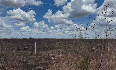 TERRENO EN VENTA EN YAXKUKUL, CONKAL, YUCATAN