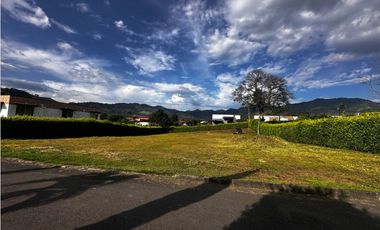 VENDO LOTE EN VENTA LAS MARGARITAS COMBIA