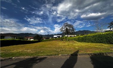 VENDO LOTE EN VENTA LAS MARGARITAS COMBIA