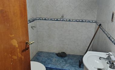 Granadero Baigorria- Silvestres Begnis n°684