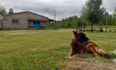 VENTA CHACRA 1,5 HA. CON CASA 2 DORM. \u002D CINCO SALTOS