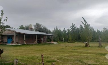 VENTA CHACRA 1,5 HA. CON CASA 2 DORM. \u002D CINCO SALTOS