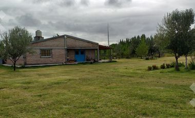 VENTA CHACRA 1,5 HA. CON CASA 2 DORM. \u002D CINCO SALTOS