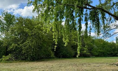 Terreno en venta - 595Mts2 - Cañuelas