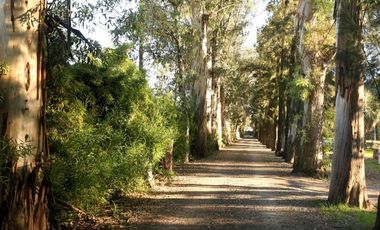 Departamento en Alla En El Sur-Venta-Canning