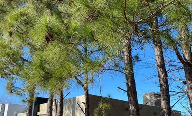 Casa - Greenville Polo & Resort