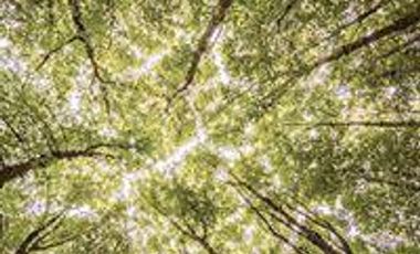 Casa - Greenville Polo & Resort