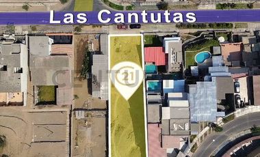 Se vende amplio terreno de 821 m² ubicado en Casuarina Sur
