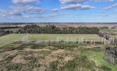 Fracción de 275ha en Venta -  Cañuelas - Ideal Desarrollo