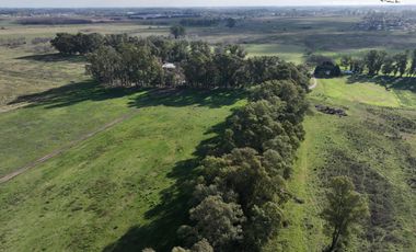 Fracción de 275ha en Venta -  Cañuelas - Ideal Desarrollo