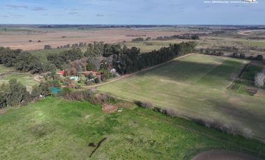 Fracción de 275ha en Venta -  Cañuelas - Ideal Desarrollo