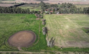 Fracción de 275ha en Venta -  Cañuelas - Ideal Desarrollo