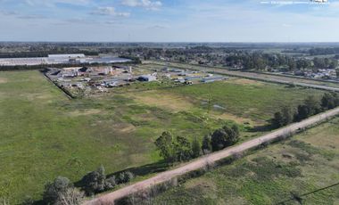 Fracción de 275ha en Venta -  Cañuelas - Ideal Desarrollo