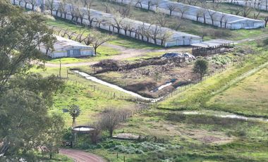 Fracción de 275ha en Venta -  Cañuelas - Ideal Desarrollo