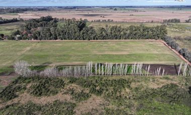 Fracción de 275ha en Venta -  Cañuelas - Ideal Desarrollo